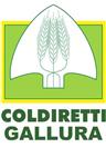 Logo Coldiretti Gallura